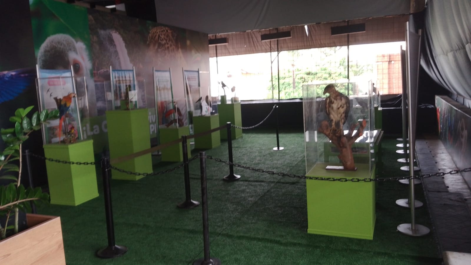 noticias-destacadas/exposicion-de-aves-en-jardin-plaza---cali